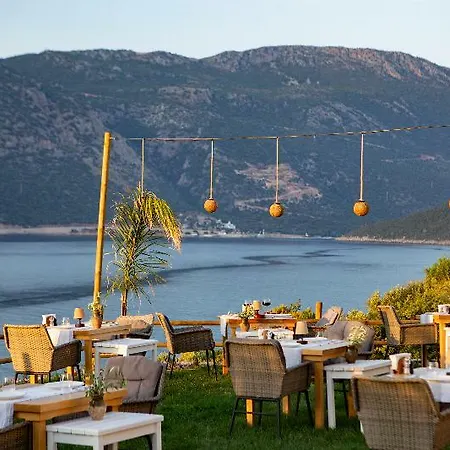 Suna Sun - Adult Only Каш