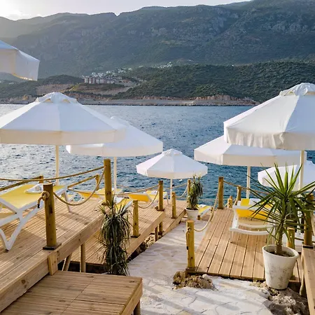 Szálloda Suna Sun - Adult Only 3*